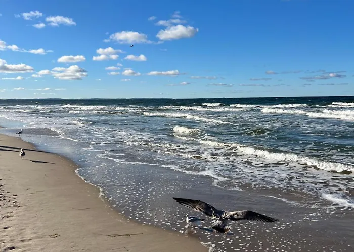 Wave- Sea View Premium 4th Floor *